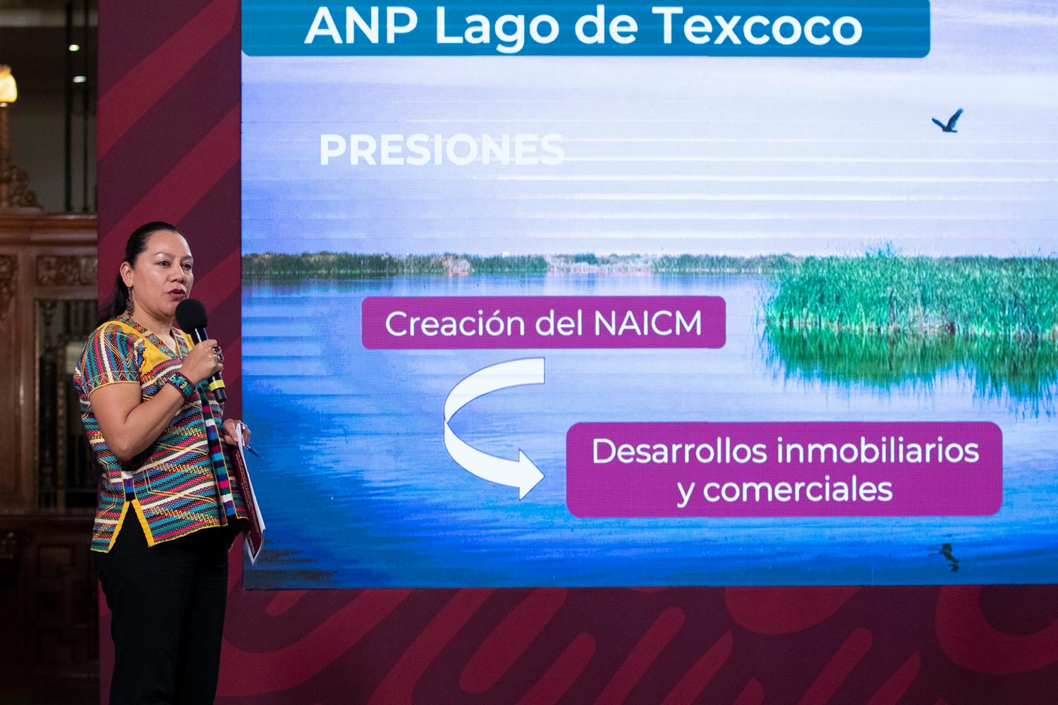 Amlo Declara área Natural Protegida Al Lago De Texcoco 1330