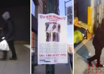 Difunden ataque de asesino serial en Nueva York (VIDEO)