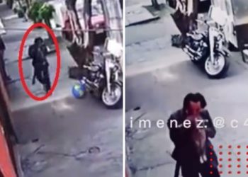 Video de hombre que mata y come gato en Azcapotzalco