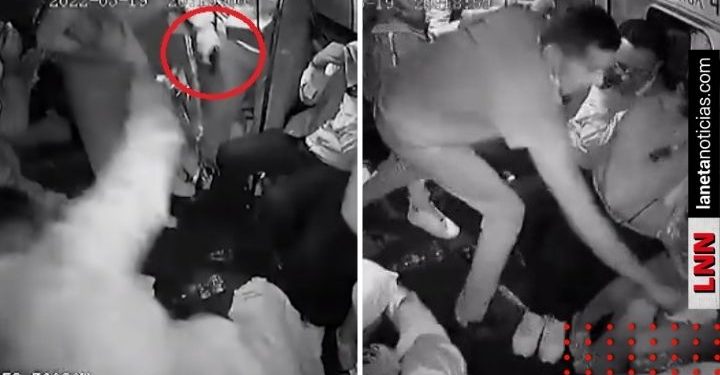 Video de ladrón que muere al saltar de combi tras atraco