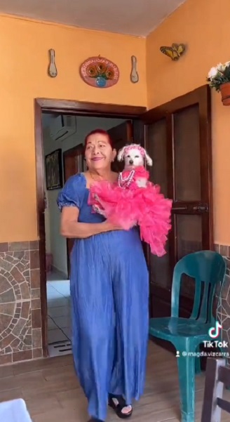 Perrita festeja sus XV años y fiesta se hace viral (VIDEO)