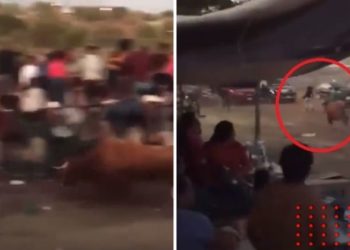 Toro escapa de jaripeo en Puebla y se va contra los asistentes; así lo grabaron