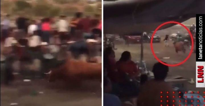 Toro escapa de jaripeo en Puebla y se va contra los asistentes; así lo grabaron