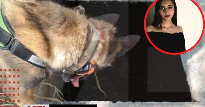 Catean terreno junto a motel para hallar a Debanhi Escobar