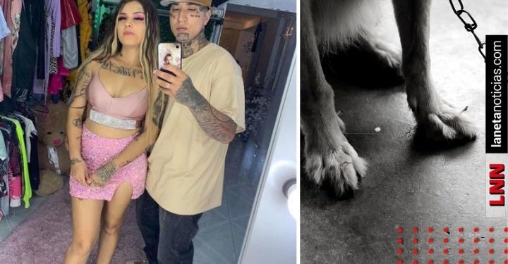 Critican a Mona y Geros por supuesto maltrato animal (VIDEO)