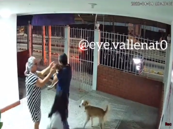 Perrito perdido regresa a casa y video se hace viral