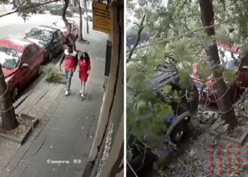 Pareja se salva de ser aplastada por árbol en CDMX; este fue el momento (VIDEO)