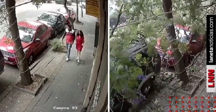 Pareja se salva de ser aplastada por árbol en CDMX; este fue el momento (VIDEO)