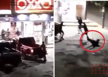 Video de sujeto que se resiste a arresto y noquea a policía