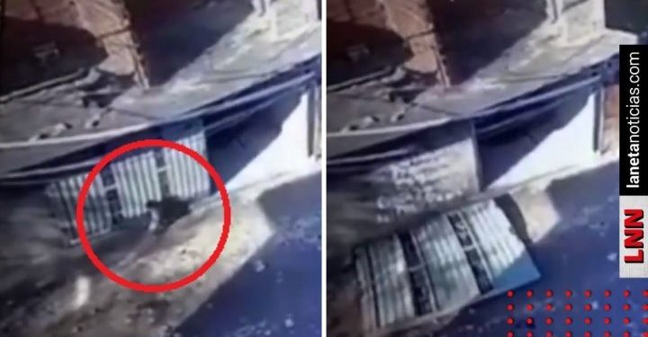 VIDEO: captan momento en que portón aplasta a niño de 3 años