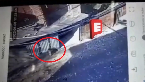 VIDEO: captan momento en que portón aplasta a niño de 3 años