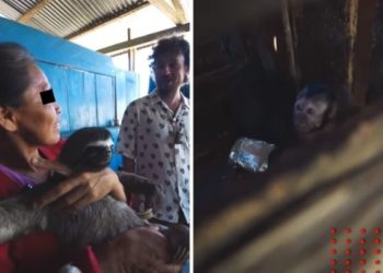 Luisito Comunica visita casa con animales salvajes como mascotas y denuncia caso