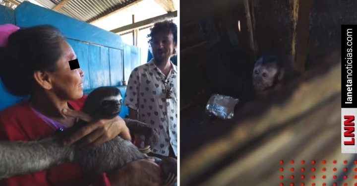 Luisito Comunica visita casa con animales salvajes como mascotas y denuncia caso