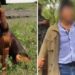 Max, el perro de la Marina que encontró a Caro Quintero (VIDEO)