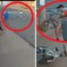 Hombre salva a niña de sufrir accidente en bicicleta (VIDEO)