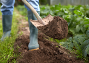 Altépetl beneficiará a 14 mil habitantes