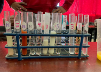 Cobach Sonora fomenta curiosidad científica a través de experimentos.