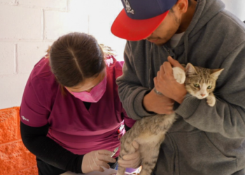 La rabia es prevenible