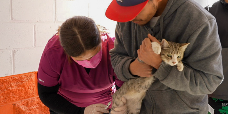 La rabia es prevenible