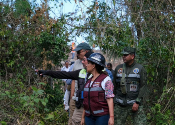 Avances en salvamento arqueológico por obras del Tren Maya