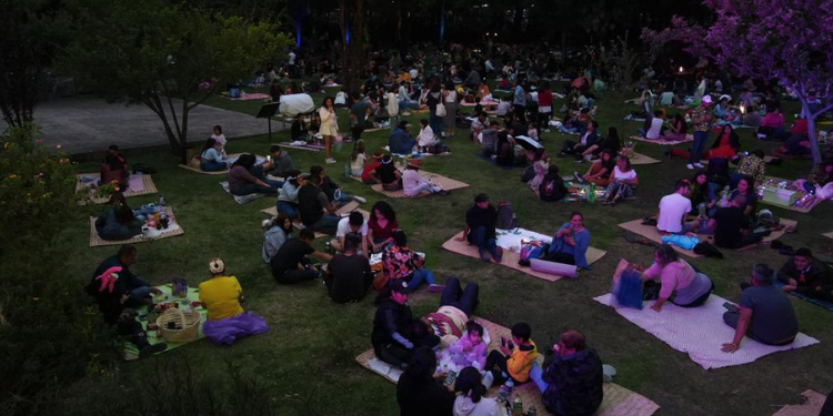 Más de 13 mil personas en picnics nocturnos de Chapultepec