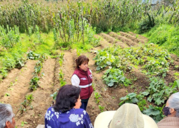 Invita Columba López a las mujeres del campo a sumarse a la capacitación en maquinaria agrícola