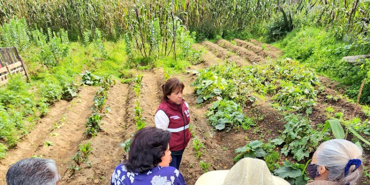Invita Columba López a las mujeres del campo a sumarse a la capacitación en maquinaria agrícola
