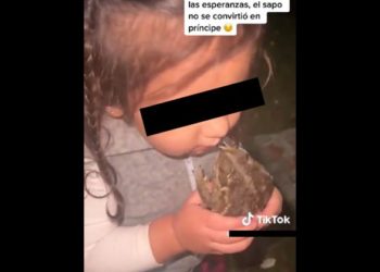 Niña besa sapo pensando que se convertiría en príncipe