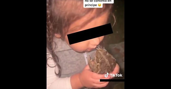 Niña besa sapo pensando que se convertiría en príncipe