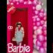 Niña vendedora de dulces se toma foto en caja de Barbie