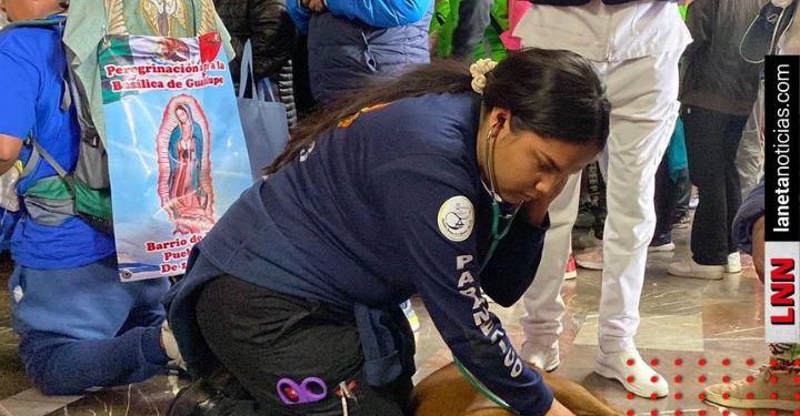 Perrito se desmaya en la Basílica y estudiantes lo auxilian