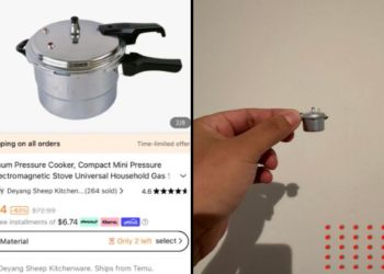 Señora compra 'olla' en Temu y esto fue lo que recibió