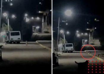 Captan a pequeños seres de un metro en México (VIDEO)