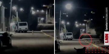 Captan a pequeños seres de un metro en México (VIDEO)