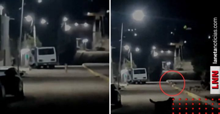 Captan a pequeños seres de un metro en México (VIDEO)