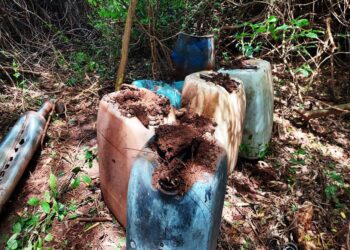 El Gabinete de Seguridad del Gobierno de México informa acciones relevantes del lunes 01 de septiembre del 2025