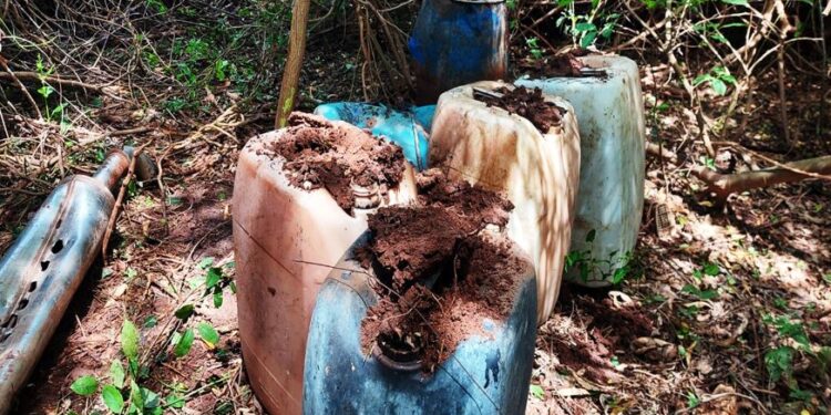 El Gabinete de Seguridad del Gobierno de México informa acciones relevantes del lunes 01 de septiembre del 2025