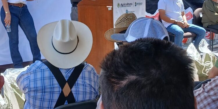 AGRICULTURA entrega más de 280 toneladas de Fertilizantes para el Bienestar en Baja California para fortalecer la autosuficiencia y soberanía alimentaria