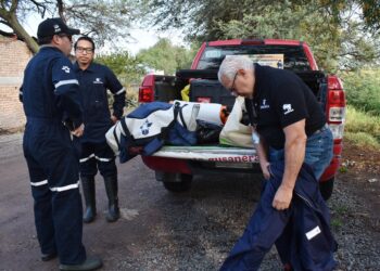 Senasica capacita a más de 70 ganaderas y ganaderos en el Bajío para combatir el gusano barrenador del ganado