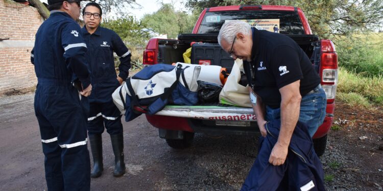 Senasica capacita a más de 70 ganaderas y ganaderos en el Bajío para combatir el gusano barrenador del ganado