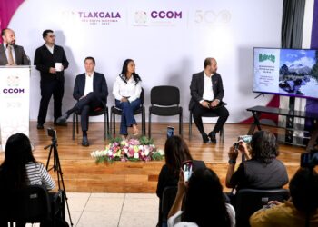 Tlaxcala se suma a esfuerzos federales para combatir la tala ilegal