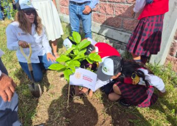 Arranca en Chilpancingo el programa “Regresa a clases con un árbol”