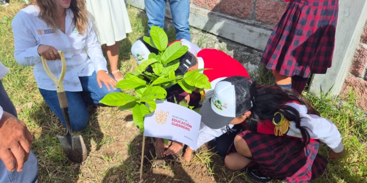 Arranca en Chilpancingo el programa “Regresa a clases con un árbol”