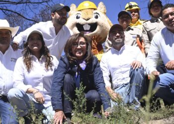 Inicia la gobernadora Lorena Cuéllar Jornada “Reforestemos juntos Atltzayanca”