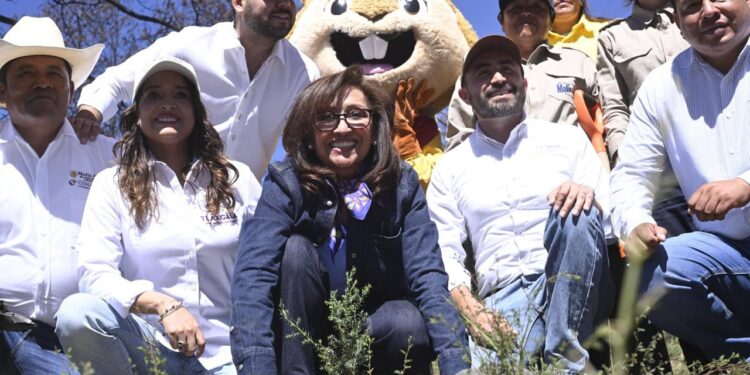 Inicia la gobernadora Lorena Cuéllar Jornada “Reforestemos juntos Atltzayanca”