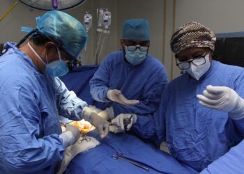 IMSS conmemora 62 años del primer trasplante renal en México con logro histórico: 4 mil 399 procedimientos realizados