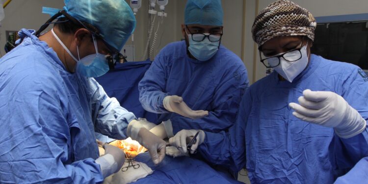 IMSS conmemora 62 años del primer trasplante renal en México con logro histórico: 4 mil 399 procedimientos realizados