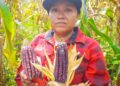 La Sagadegro prioriza la conservación de maíces nativos y el liderazgo de la mujer rural