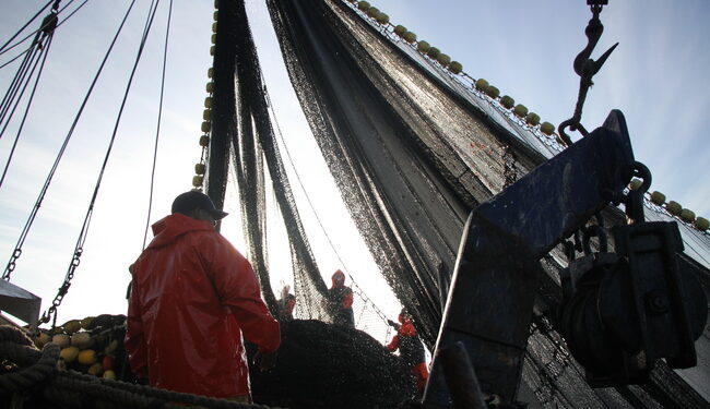 Conapesca define límites de captura para la sardina, anchoveta y macarela en el Pacífico y Golfo de California para la temporada 2025