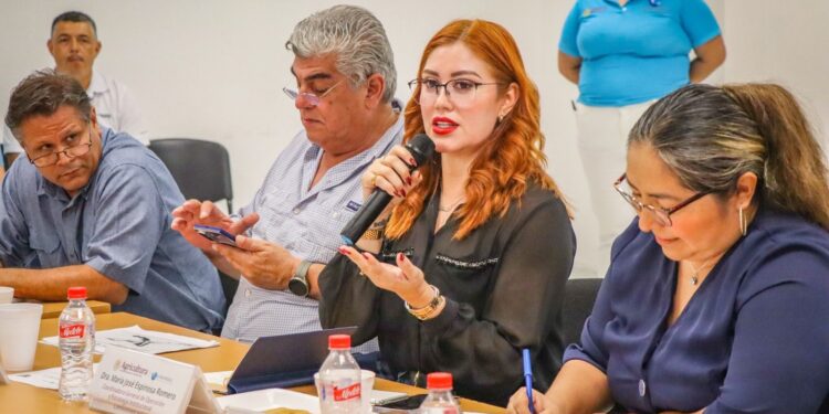 Sinaloa participa en Sesión Informativa de la Temporada de Pesca de Camarón en el Pacífico 2025